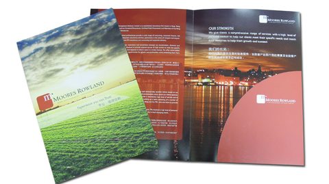MOORES ROWLAND - Corporate Flyer