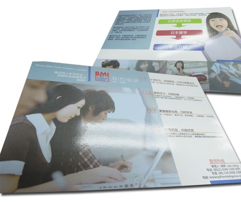 BMI Force Academy Limited - Flyer