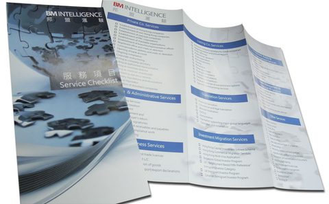BM Intelligence Group - Service Checklist